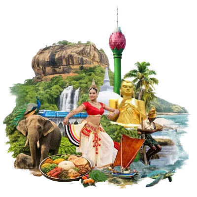 Hero image of SriGuide